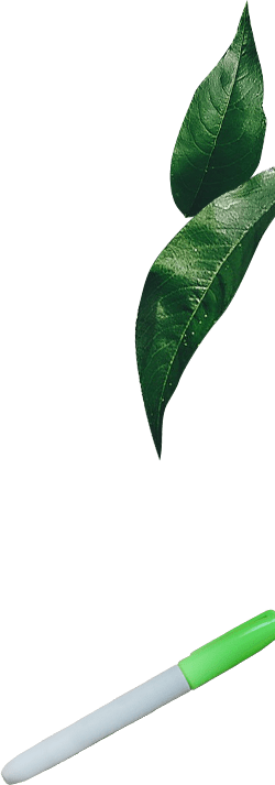 background image of a green plant and marker