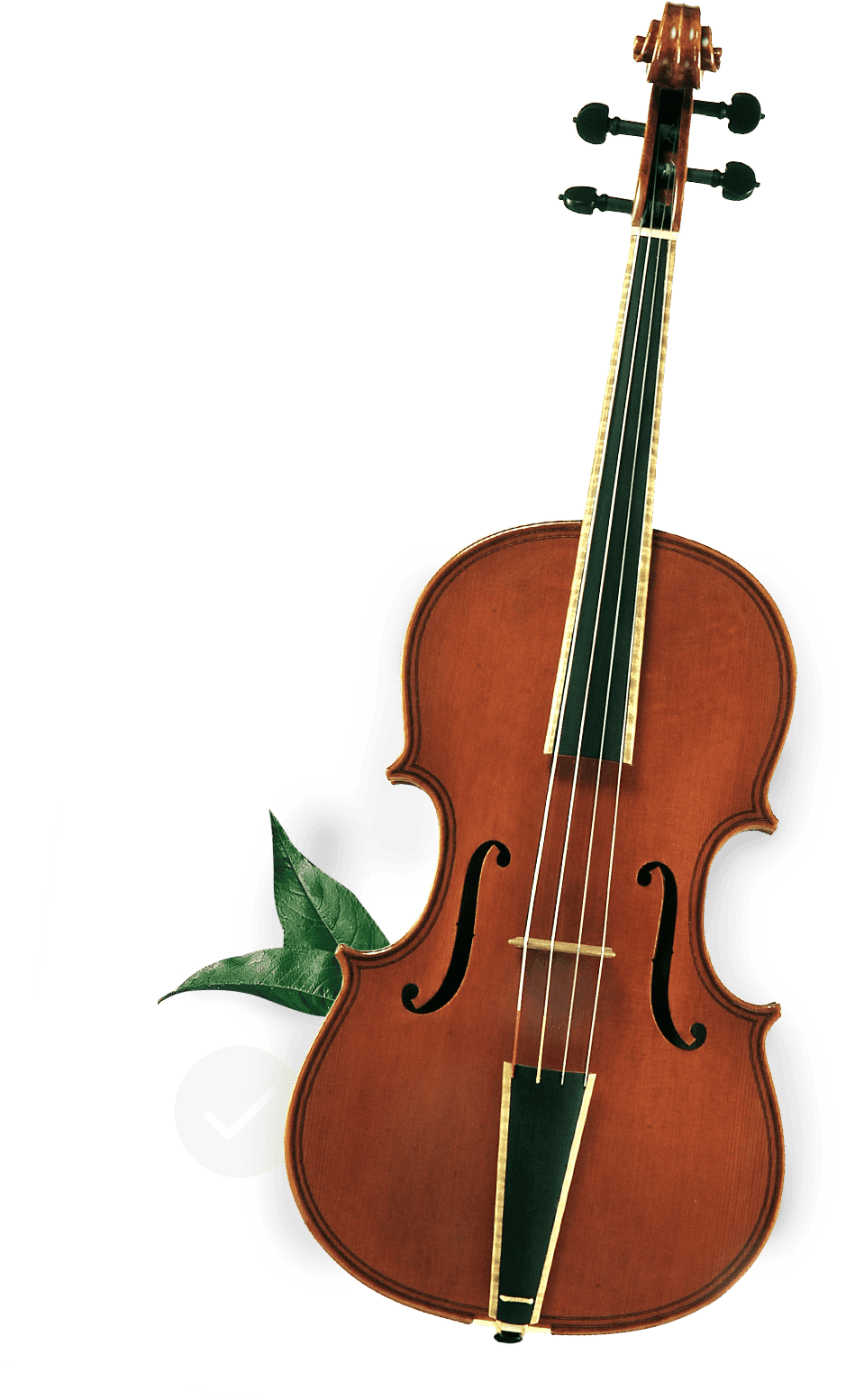 background image of a violin